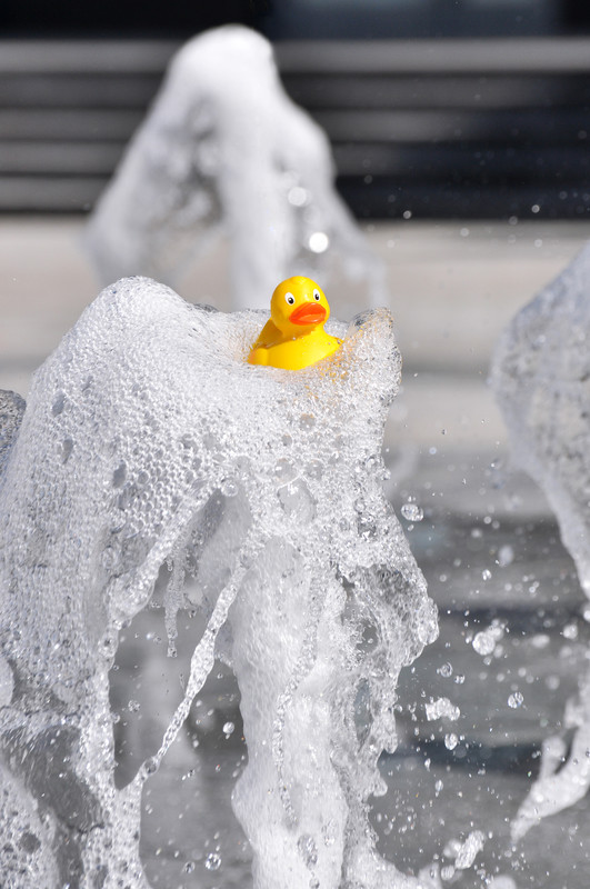 Happy duck   