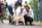 Як у Дніпрі спеціально навчені собаки допомагають у реабілітації дітей з інвалідністю