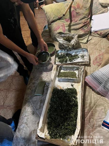 На Днепропетровщине полицейские офицеры громады обнаружили посев конопли и изъяли каннабис