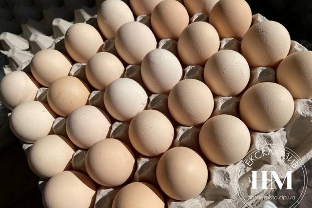 Шутки о «золотых яйцах» больше не актуальны: цены в Днепре на «Озерке» шокируют
