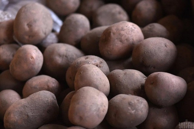 В Украине стоимость картофеля уже вдвое выше, чем в прошлом году: что будет с ценами далее