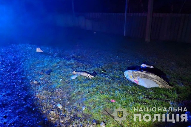 На Днепропетровщине пьяный водитель ВАЗ сбил детей и скрылся с места ДТП